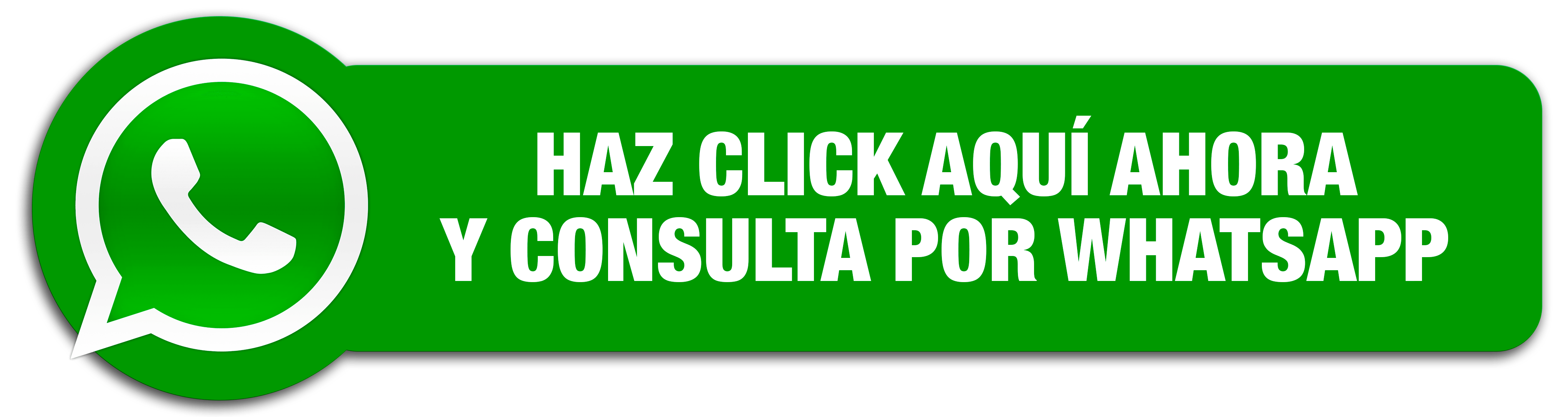 Consulta con un Asesor